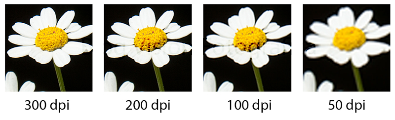 What Does A 300 Dpi Image Look Like